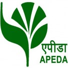 APEDA Logo