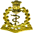 Armed Forces Medical Services logo
