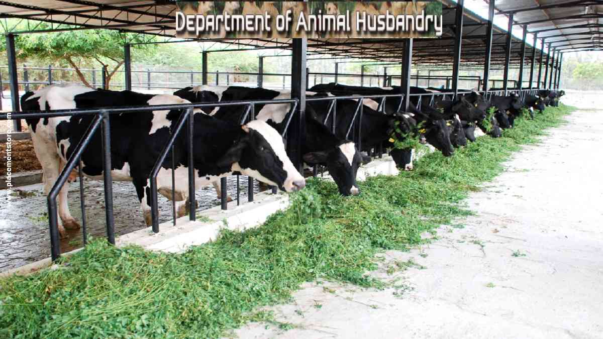 Animal Husbandry Department