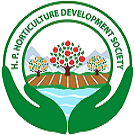 HPHDP Logo