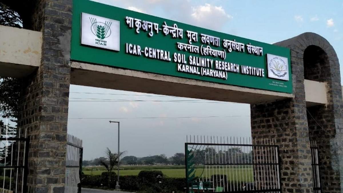 ICAR CSSRI Karnal Recruitment 2023 » SRF, JRF, Field Asst Post