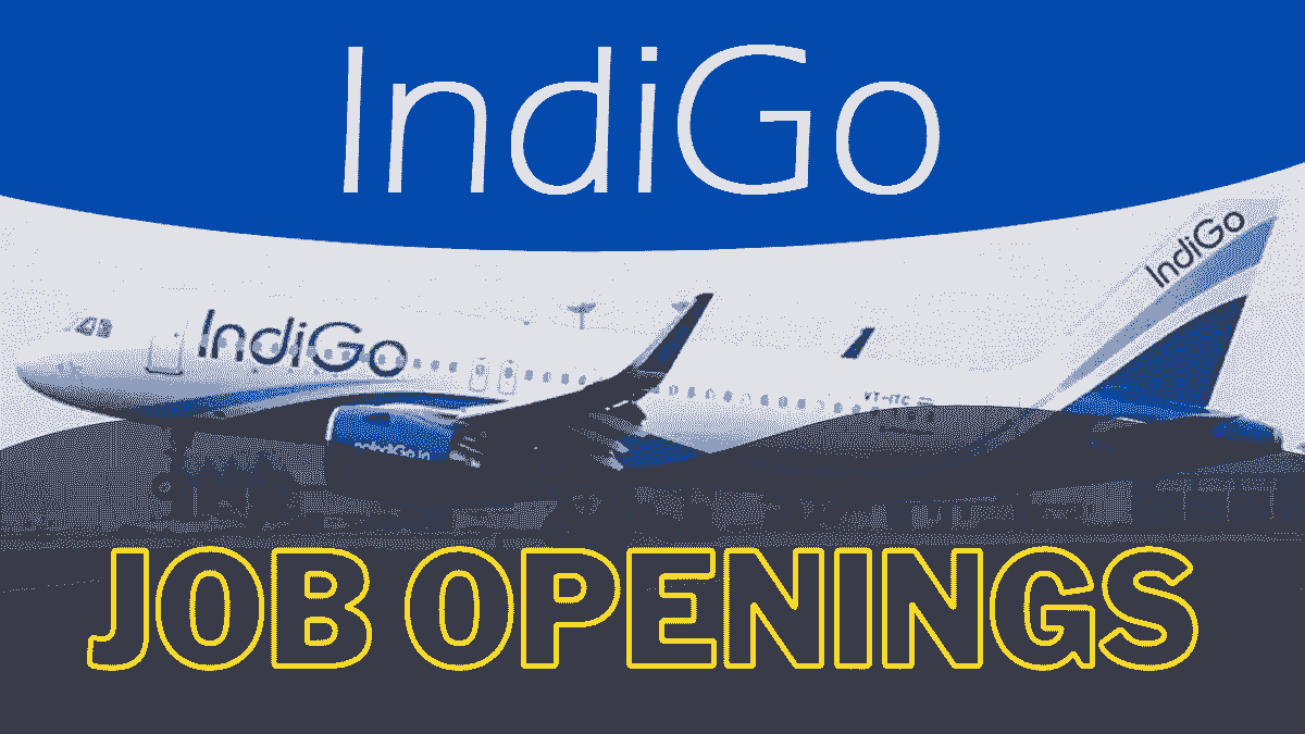IndiGo Recruitment 2024 Apply Online For Various Airport Post