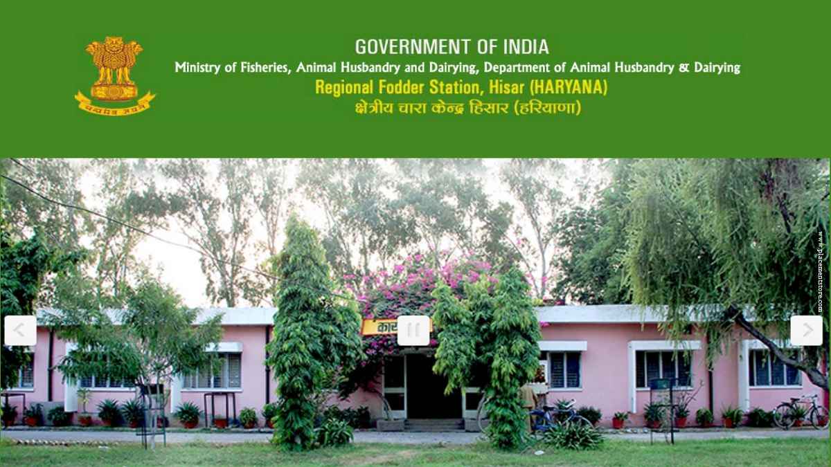 Regional Fodder Station (RFS Hisar)