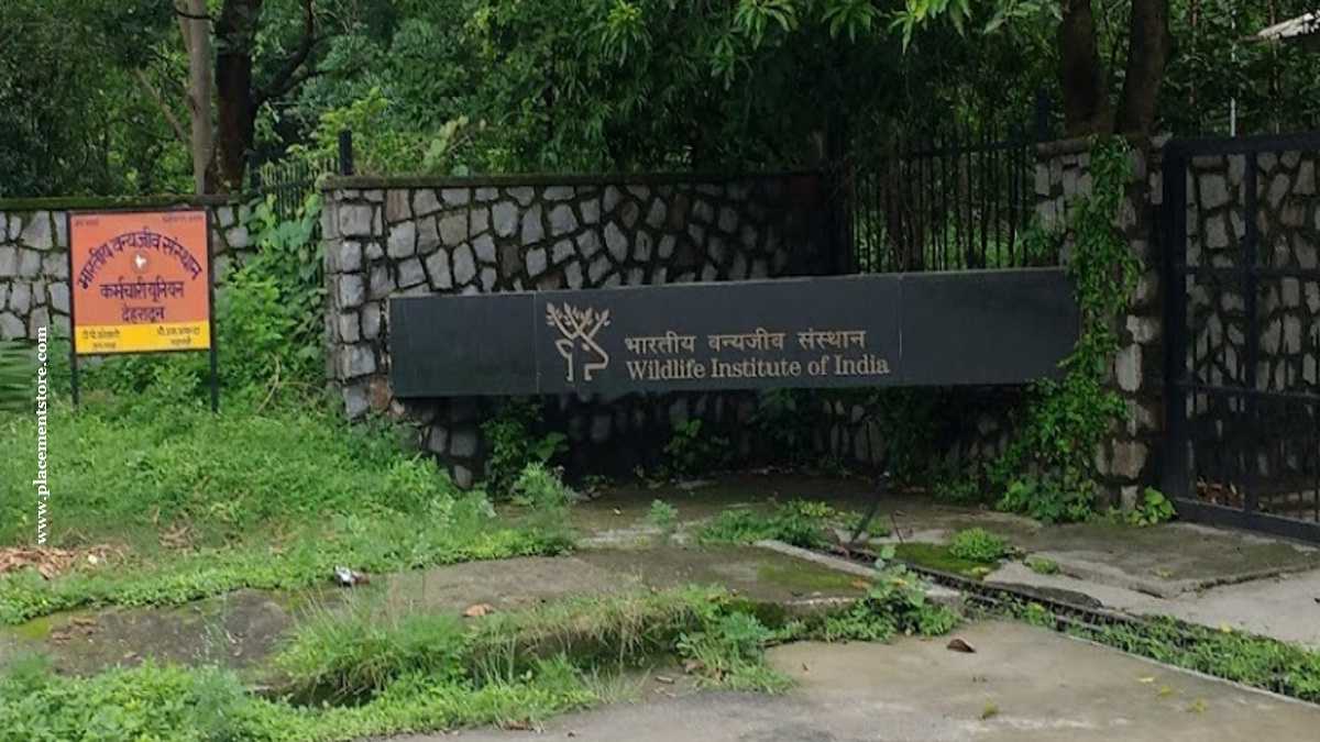 WII - Wildlife Institute of India